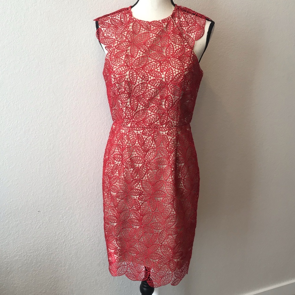 Minuet Lace Dress